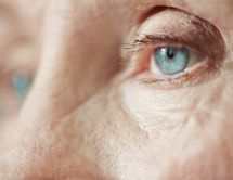   20 April 2020  
 El Glaucoma, enfermedad silente que te roba la visión. Periódico El Día 