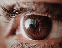 Leer noticia sobre:   04 April 2018  
 Revista Vive Sano. El Glaucoma  