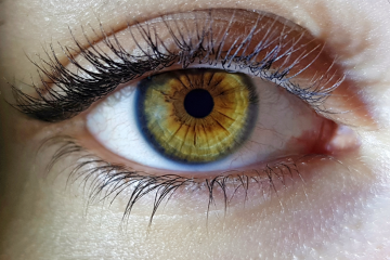   01 December 2022  
 Symptoms of retinitis pigmentosa 