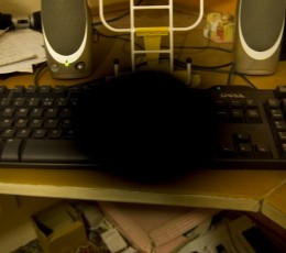 Vision loss due to Stargardt disease