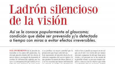 Revista CHT. Ladrón Silencioso de la Visión. 
